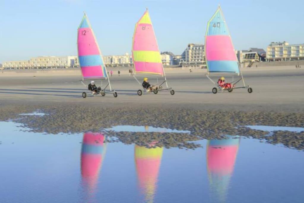 Cozy D'Opale Charmant T1 Bord De Mer Cour Privee Et Clot Wifi 3 Pers Animaux Acceptes Gratuit Lägenhet Berck Exteriör bild
