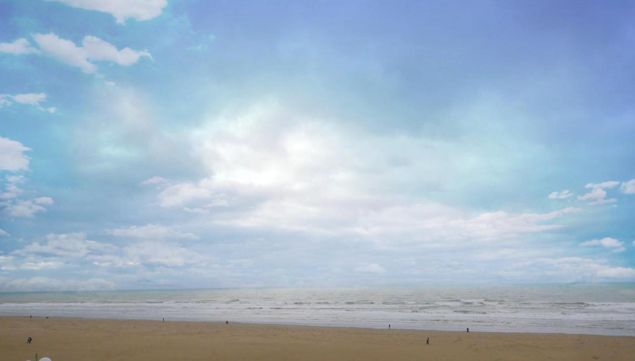 Cozy D'Opale Charmant T1 Bord De Mer Cour Privee Et Clot Wifi 3 Pers Animaux Acceptes Gratuit Lägenhet Berck Exteriör bild